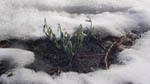 image01