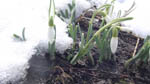 image01