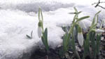 image01