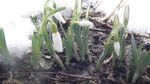 image01