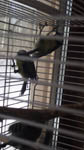 image01