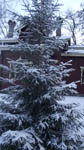 image01