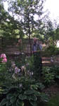 image01
