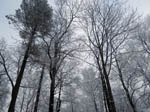 image01
