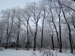 image01