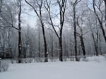 image01