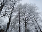 image01