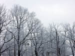 image01
