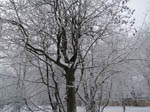 image01