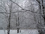 image01
