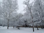 image01