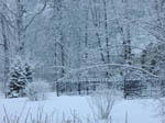 image01