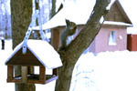 image01