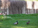 image01