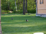image01